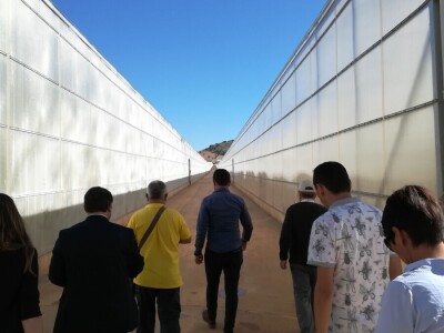 Foto: Danijela Plavšić