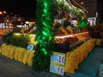 Foto: Danijela Plavšić