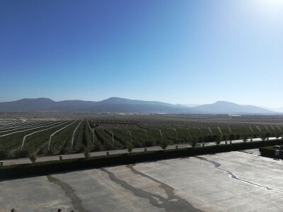 Foto: Danijela Plavšić