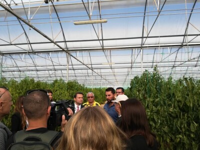 Foto: Danijela Plavšić