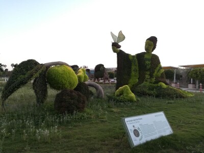 Foto: Danijela Plavšić