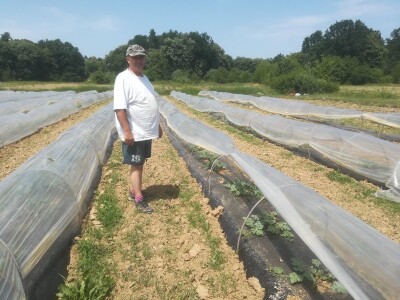 foto: Danijela Plavšić