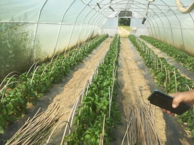 foto: Danijela Plavšić