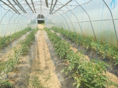 foto: Danijela Plavšić