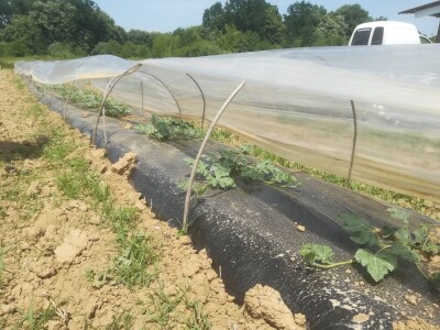 foto: Danijela Plavšić