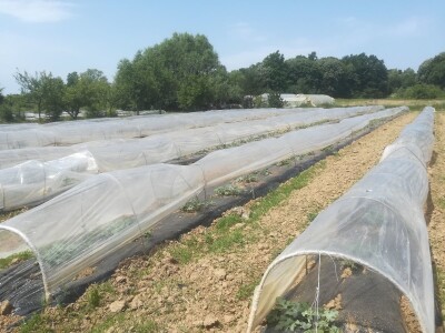 foto: Danijela Plavšić