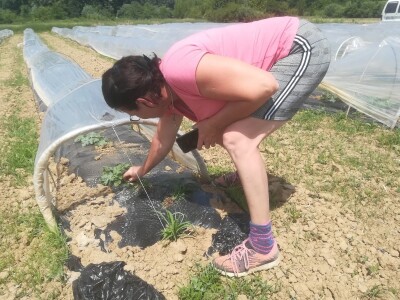 foto: Danijela Plavšić