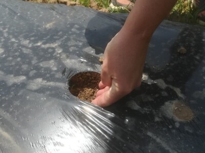 foto: Danijela Plavšić