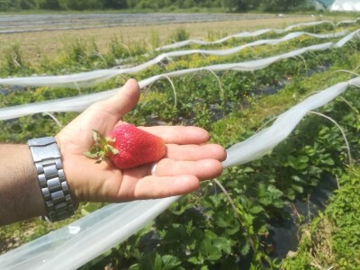 foto: Danijela Plavšić