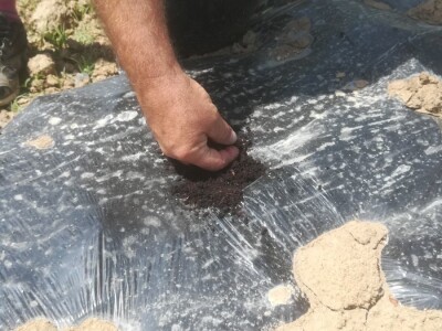 foto: Danijela Plavšić