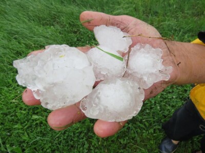 foto: Danijela Plavšić