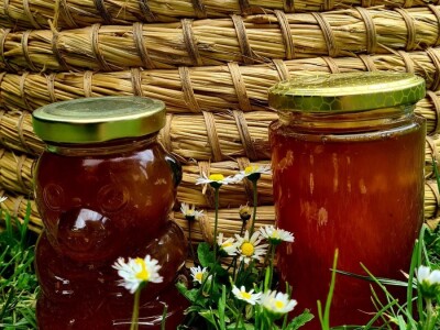 Foto galerija: Lipanj u pčelinjaku