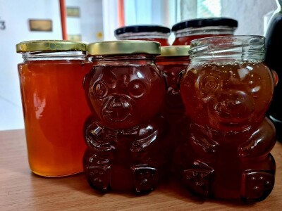 Foto galerija: Lipanj u pčelinjaku