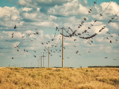 Foto natječaj "Volim svoju županiju"