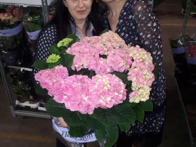 FOTO PUTOVANJE U KRALJEVINU CVIJEĆA