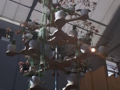 FOTO PUTOVANJE U KRALJEVINU CVIJEĆA