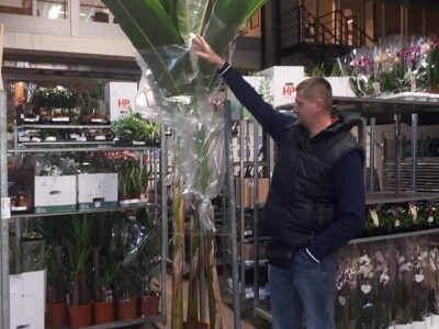 FOTO PUTOVANJE U KRALJEVINU CVIJEĆA