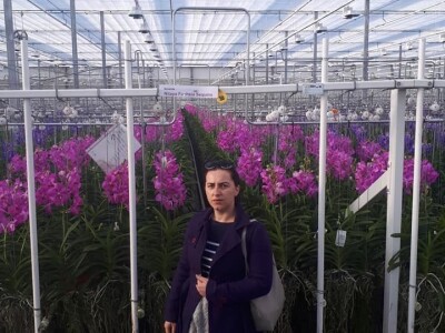 FOTO PUTOVANJE U KRALJEVINU CVIJEĆA