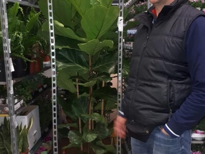 FOTO PUTOVANJE U KRALJEVINU CVIJEĆA