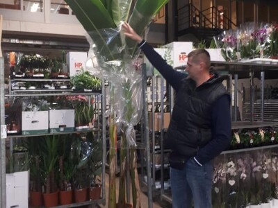 FOTO PUTOVANJE U KRALJEVINU CVIJEĆA