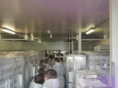 FOTO PUTOVANJE U KRALJEVINU CVIJEĆA