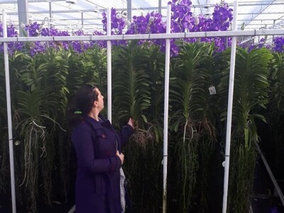 FOTO PUTOVANJE U KRALJEVINU CVIJEĆA