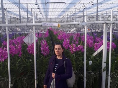 FOTO PUTOVANJE U KRALJEVINU CVIJEĆA