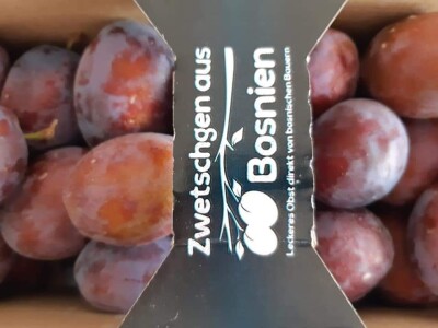 foto šljive,kornišoni