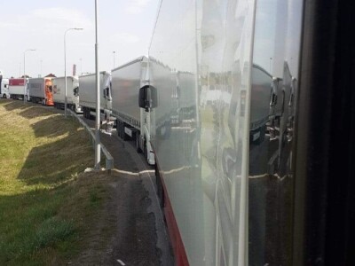 foto šljive,kornišoni