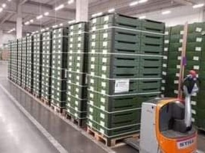 foto šljive,kornišoni