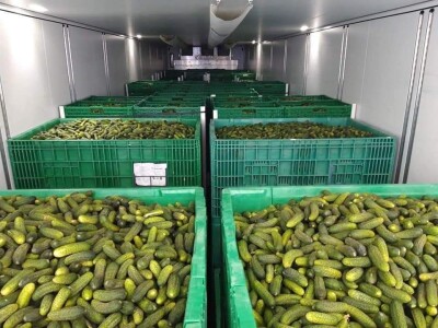 foto šljive,kornišoni