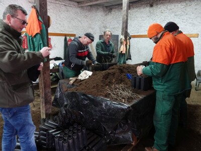 Rasadnik Cernik, UŠP Nova Gradiška