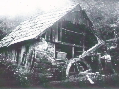 Fotograf Davor Delač