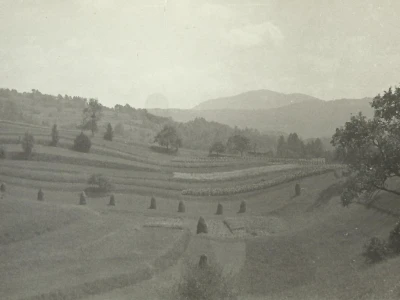 Fotograf Davor Delač