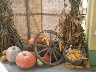 10. Etnosusreti u Bilju