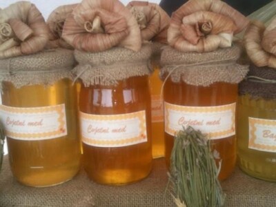 10. Etnosusreti u Bilju