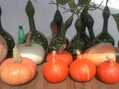 10. Etnosusreti u Bilju