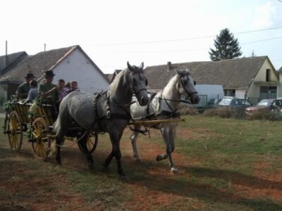 10. Etnosusreti u Bilju