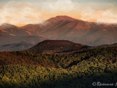 Fotografije Jelene Potrebić - pobednica RuralFoto 2024 u kategoriji selo