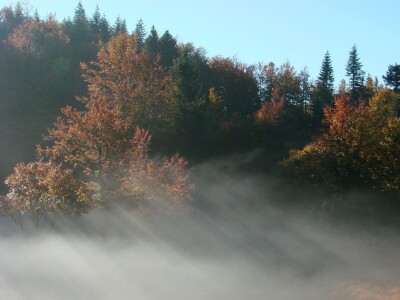 Fotolovac Romeo Mance