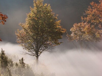 Fotolovac Romeo Mance