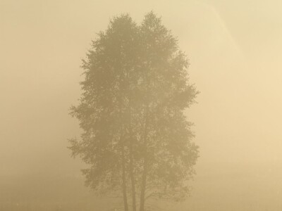 Fotolovac Romeo Mance