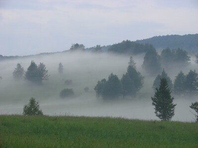 Fotolovac Romeo Mance