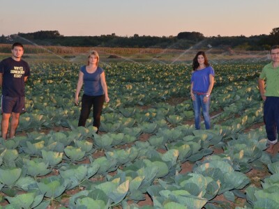 Proizvodnja rasada i povrća porodice Stevanović iz sela Sedlare