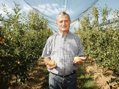 Frane Ivković