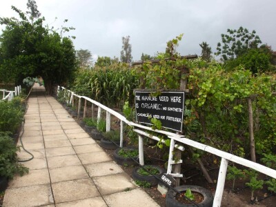 Fredov ranč u Keniji