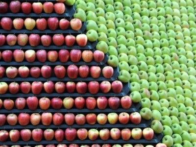 Agrarwelt i Fruchtwelt Bodensee 2014. Agrarwelt i Fruchtwelt Bodensee 2014.