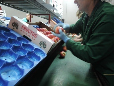 Pogon za pakiranje voća