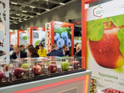 Fruit Logistica 2019