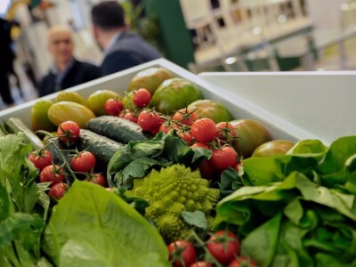 Fruit Logistica 2019